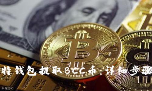 如何通过比特钱包提取BCC币:详细步骤与注意事项