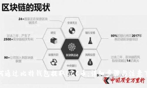如何通过比特钱包提取BCC币:详细步骤与注意事项
