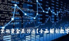 区块链钱包里的资金是什么？全面解析数字资产
