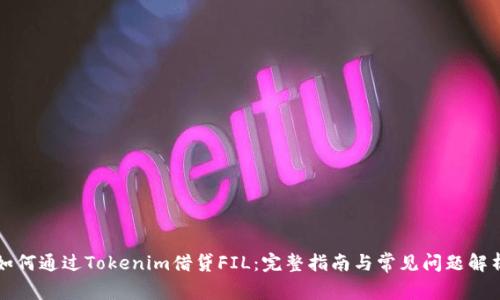 如何通过Tokenim借贷FIL:完整指南与常见问题解析