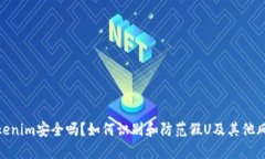 Tokenim安全吗？如何识别和防范假U及其他风险