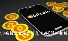 TokenIM 2.0映射后鼻子少了怎么办？详细解析及解决