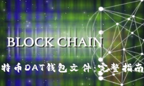 如何导入比特币DAT钱包文件:完整指南与操作步骤