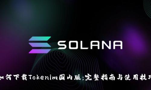 如何下载Tokenim国内版:完整指南与使用技巧