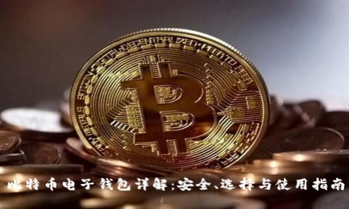 比特币电子钱包详解:安全、选择与使用指南