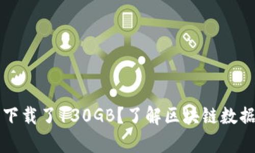 比特币钱包下载了130GB?了解区块链数据存储与方法