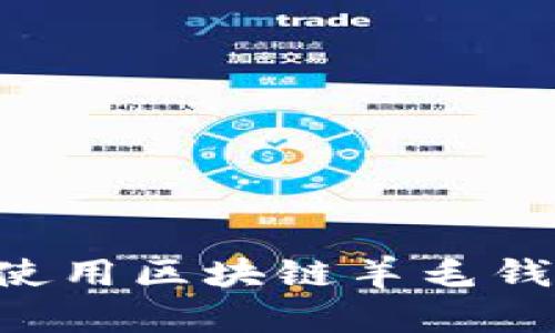 如何选择和使用区块链羊毛钱包:全面指南
