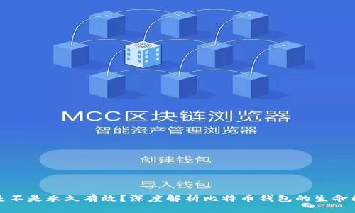 比特币钱包是不是永久有效?深度解析比特币钱包的生命周期与安全性