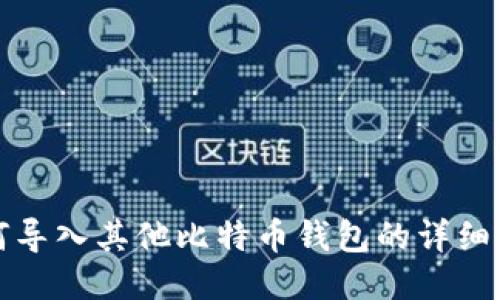 如何导入其他比特币钱包的详细指南