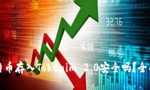 将比特币存入Tokenim 2.0安全吗?全面解析