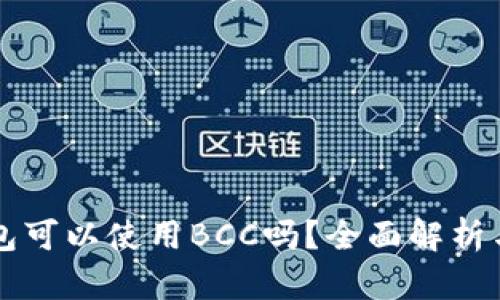 比特币钱包可以使用BCC吗?全面解析与使用指南