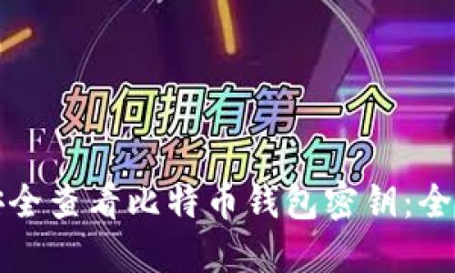 如何安全查看比特币钱包密钥:全面指南