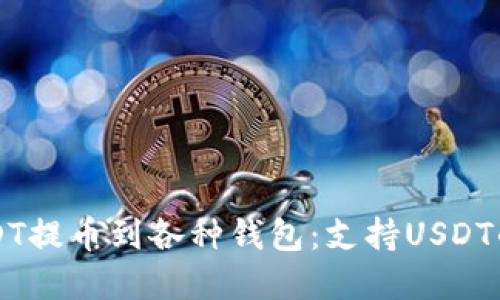 如何安全将USDT提币到各种钱包:支持USDT的热门钱包一览