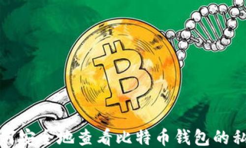 如何安全地查看比特币钱包的私钥