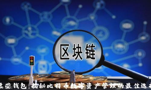虚荣钱包:揭秘比特币数字资产管理的最佳选择