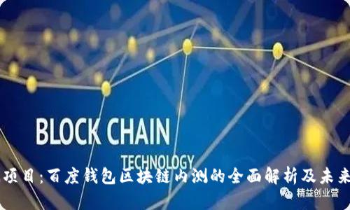 绿洲项目：百度钱包区块链内测的全面解析及未来展望