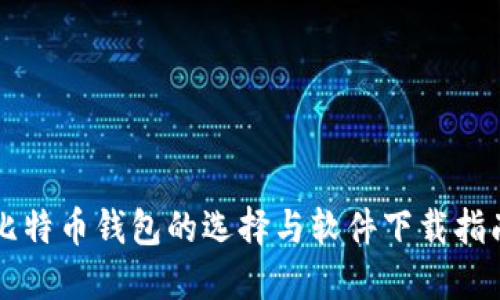 比特币钱包的选择与软件下载指南