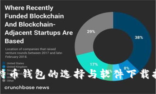 比特币钱包的选择与软件下载指南