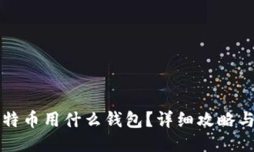 玩比特币用什么钱包?详细攻略与推荐