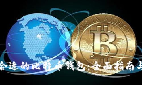 如何选择合适的比特币钱包：全面指南与最佳实践
