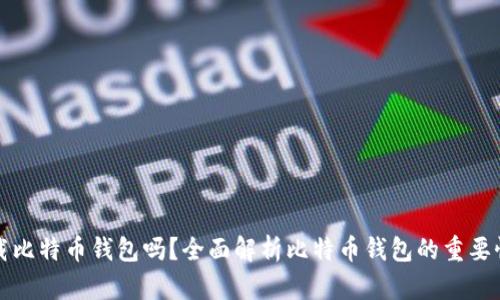 必须下载比特币钱包吗?全面解析比特币钱包的重要性与选择