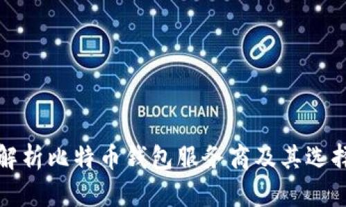 全面解析比特币钱包服务商及其选择指南