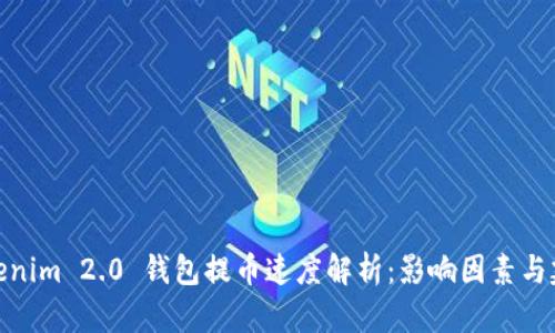 Tokenim 2.0 钱包提币速度解析:影响因素与建议