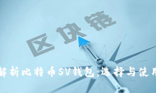全面解析比特币SV钱包:选择与使用指南