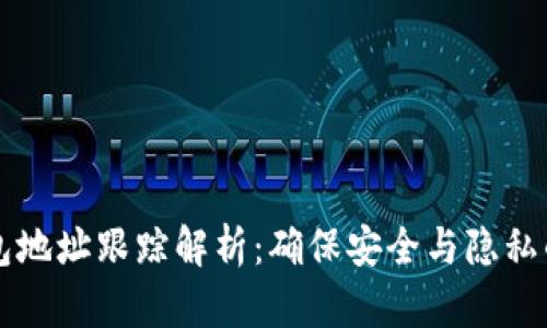虚拟币钱包地址跟踪解析:确保安全与隐私的全面指南