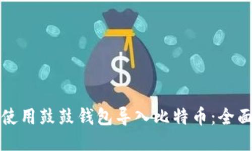如何使用鼓鼓钱包导入比特币：全面指南
