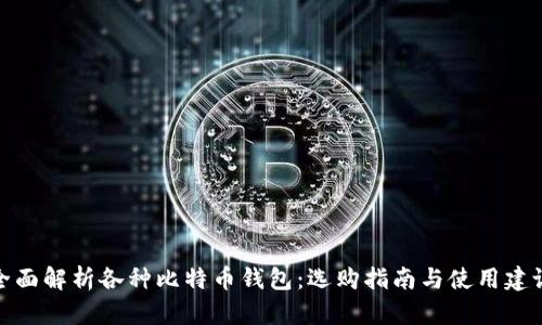 全面解析各种比特币钱包：选购指南与使用建议