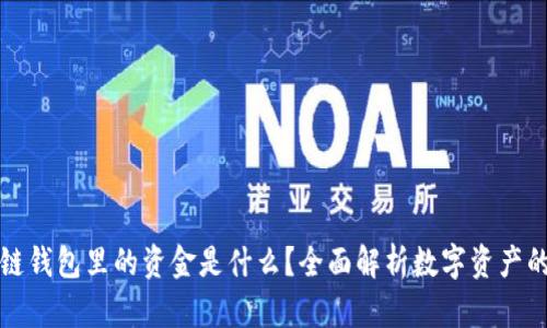 区块链钱包里的资金是什么?全面解析数字资产的奥秘