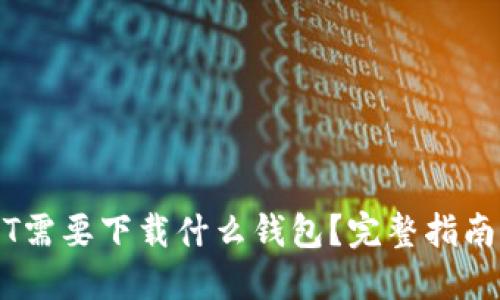 转USDT需要下载什么钱包?完整指南与推荐