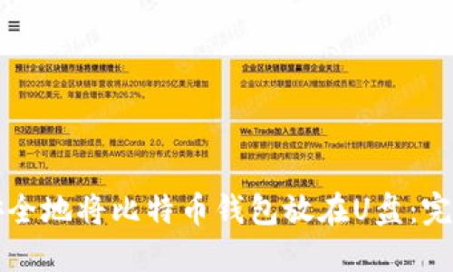 如何安全地将比特币钱包放在U盘:完整指南
