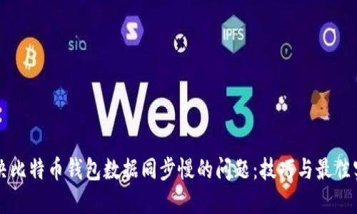 解决比特币钱包数据同步慢的问题:技巧与最佳实践