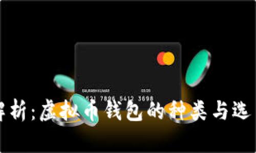 全面解析:虚拟币钱包的种类与选用指南