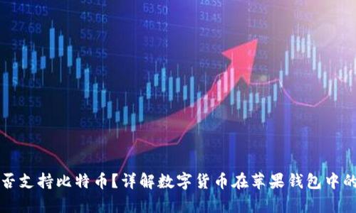 苹果钱包是否支持比特币?详解数字货币在苹果钱包中的应用与前景