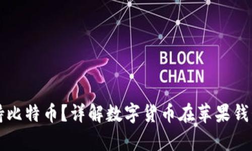 苹果钱包是否支持比特币?详解数字货币在苹果钱包中的应用与前景