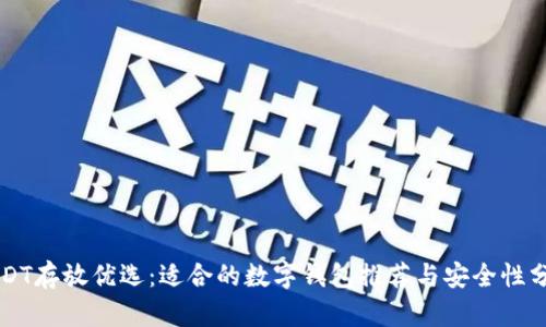 USDT存放优选:适合的数字钱包推荐与安全性分析