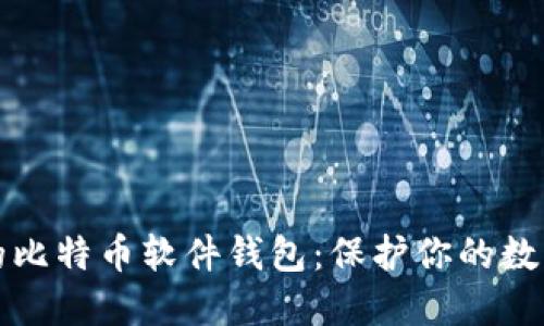 安全的比特币软件钱包:保护你的数字资产