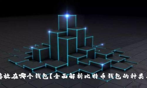 比特币存放在哪个钱包?全面解析比特币钱包的种类与安全性