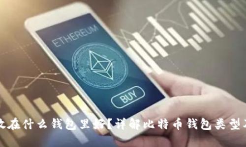 比特币放在什么钱包里好?详解比特币钱包类型及安全性