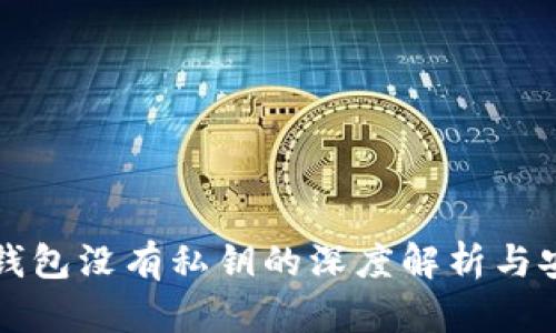 比特币钱包没有私钥的深度解析与安全提示