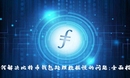 如何解决比特币钱包处理数据慢的问题:全面指南