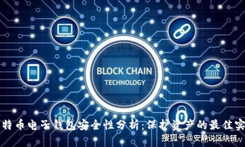 比特币电子钱包安全性分析:保护资产的最佳实践