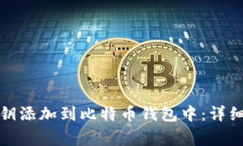 如何安全地将私钥添加到比特币钱包中:详细指南与注意事项