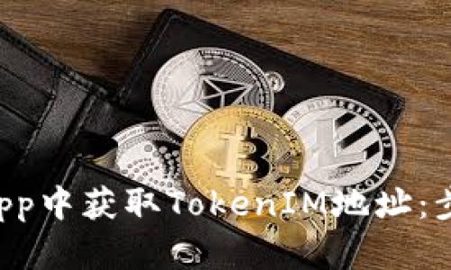 如何在DApp中获取TokenIM地址:步骤与技巧