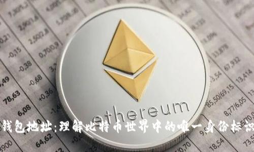 钱包地址：理解比特币世界中的唯一身份标识