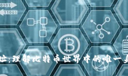 钱包地址：理解比特币世界中的唯一身份标识