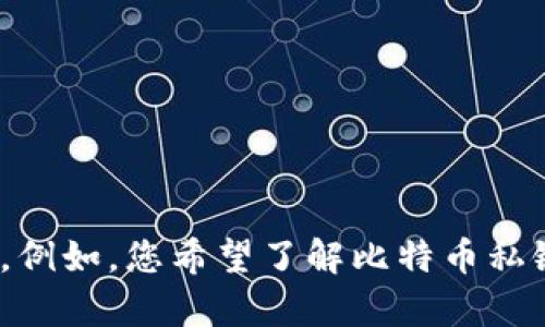 请您提供更具体的需求或方向以便我为您撰写内容，例如，您希望了解比特币私链钱包的哪些方面，如使用方法、安全性、技术原理等。